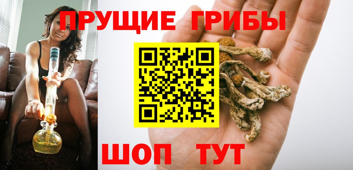 Галлюциногенные грибы Psilocybine cubensis Малоярославец